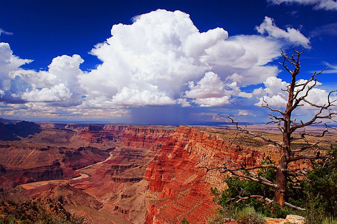 3 Hour Back-Road Safari to Grand Canyon with Entrance Gate By-Pass at 9:30 am - Who will get the most from this morning tour?