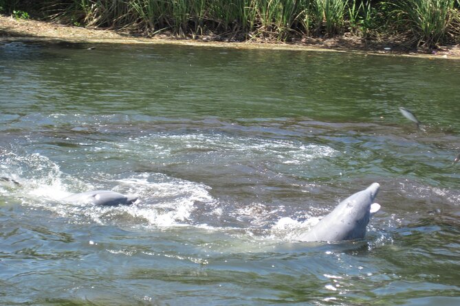 3 Hour See Crystal River Wildlife Safari Boat Cruise - Who will enjoy this cruise most?