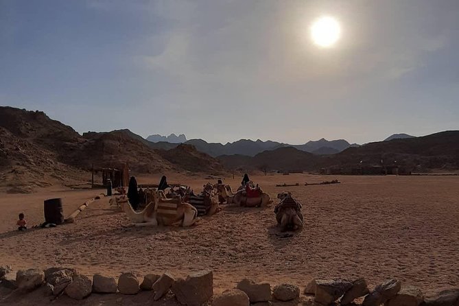 3 Hours Safari by Quad Bike - Hurghada - What the desert stop adds