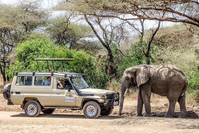 3Days luxury safari to Tarangire Ngorongoro crater and Manyara - Day two: descending into Ngorongoro Crater