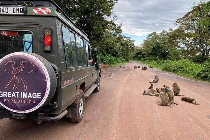 3days Serengeti National park and Ngorongoro Crater Tanzania Safari - Day 2: A morning game drive and the road toward the crater
