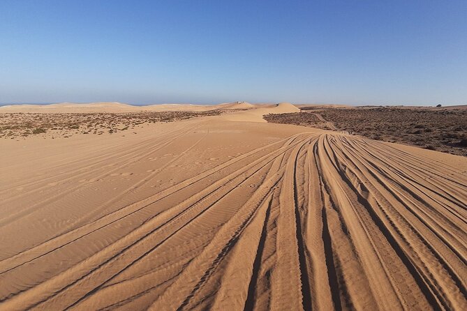 4×4 Jeep Desert Safari Tour with Lunch and Camel Ride - Watching birds in Souss Massa National Park
