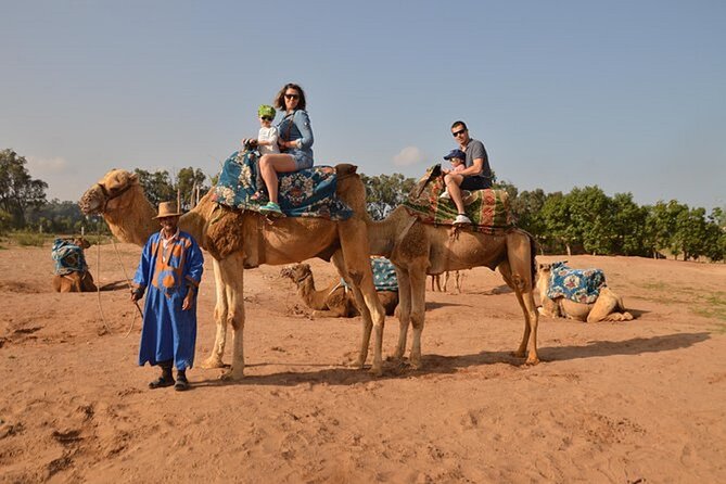 4×4 Jeep Desert Safari Tour with Lunch and Camel Ride - Is $46.46 a fair price?