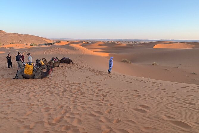 4×4 Jeep Desert Safari Tour with Lunch and Camel Ride - Fishermen’s caves and Sidi Rbat beach