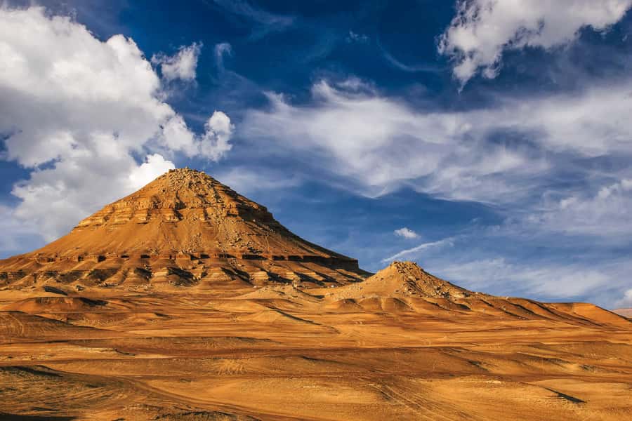 4-Day Bahariya Oasis and African Sahara Camping Adventure. - Food, guides, and the private format