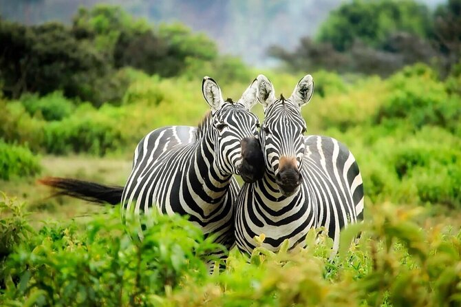 4-Day Budget Tarangire, Serengeti, Ngorongoro Safari Guided Tour - Food, camping, and the shared vehicle