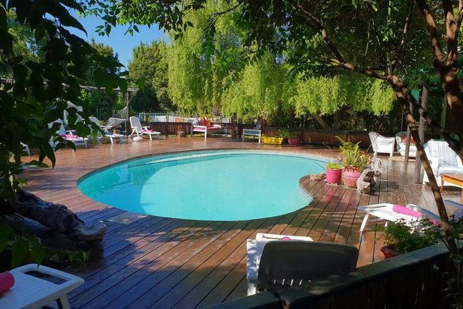 4 Day Garden Route Adventure & Safari - Comfort, guiding, and the pace of the road