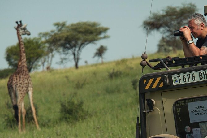 4 Day Great Migration Safari Serengeti & Ngorongoro Crater - Day three: one more Serengeti drive, then Ngorongoro