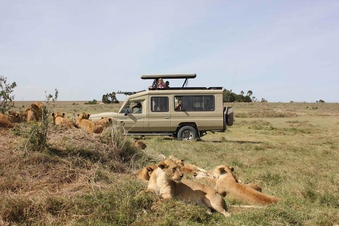 4 Day Great Migration Safari Serengeti & Ngorongoro Crater - Accommodation and the comfort level to expect