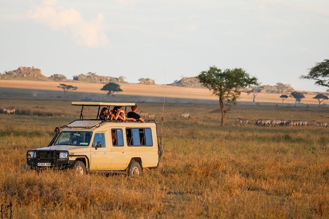 4 Day Great Migration Safari Serengeti & Ngorongoro Crater - Day one: Arusha to Serengeti by road