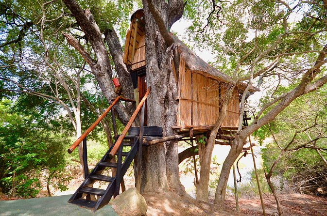 4 Day Lodge and Treehouse Kruger National Park Safari - Why this safari offers more than a standard game drive