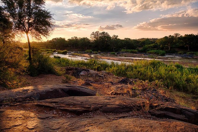 4 Day Lodge and Treehouse Kruger National Park Safari - Day 4: Sunrise walk and the Three Rondawels