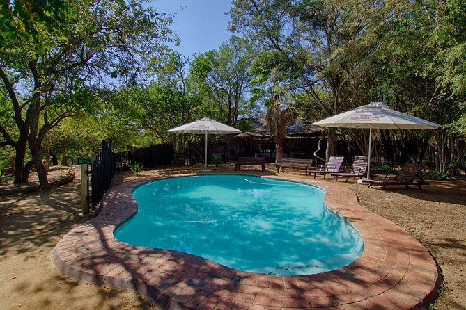 4 Day Lodge and Treehouse Kruger National Park Safari - Who will enjoy this four-day format