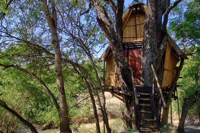 4 Day Lodge and Treehouse Kruger National Park Safari - Day 1: Johannesburg to Balule and a sunset in the bush