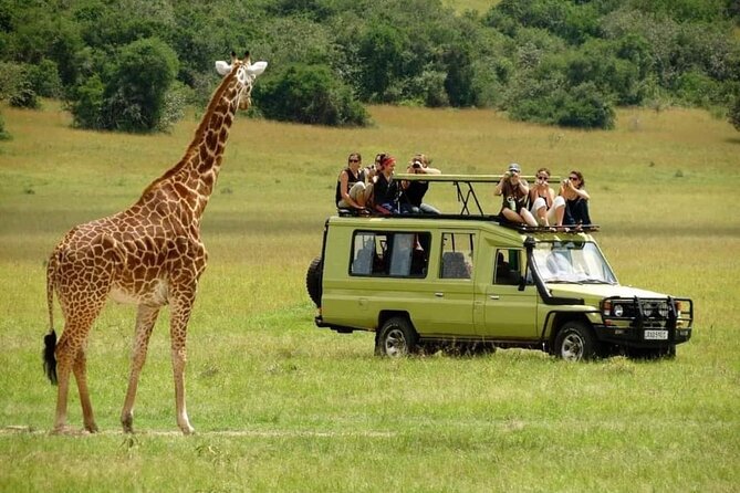 4-Day Majestic Group Tour in Safari - Day 1 in Arusha: a useful soft landing