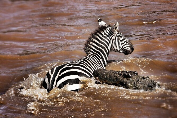 4-Day Manyara Serengeti and Ngorongoro Wonders Budget Safari Tour - Lake Manyara: a lively first safari day