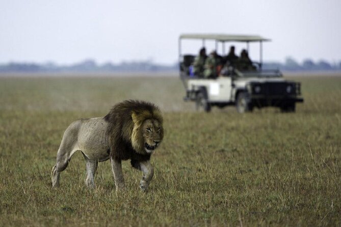 4-Day Manyara Serengeti and Ngorongoro Wonders Budget Safari Tour - A full Serengeti game drive on Day 3