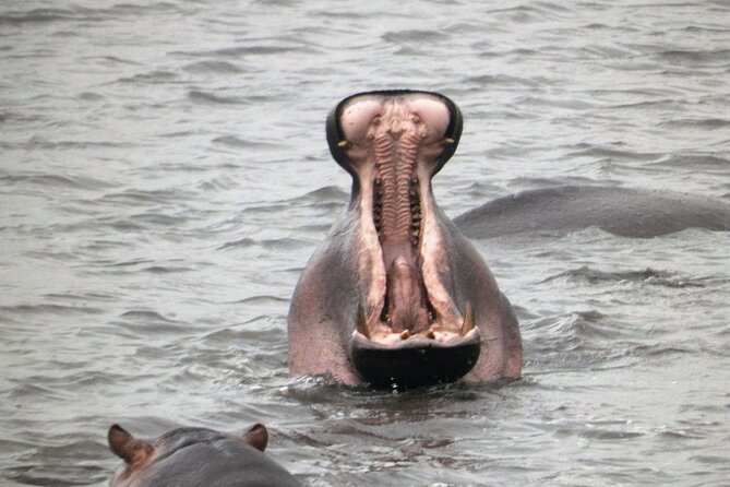 4-Day Safari from Arusha: Tarangire, Serengeti and Ngorongoro - Lodges, tented camps, and meals