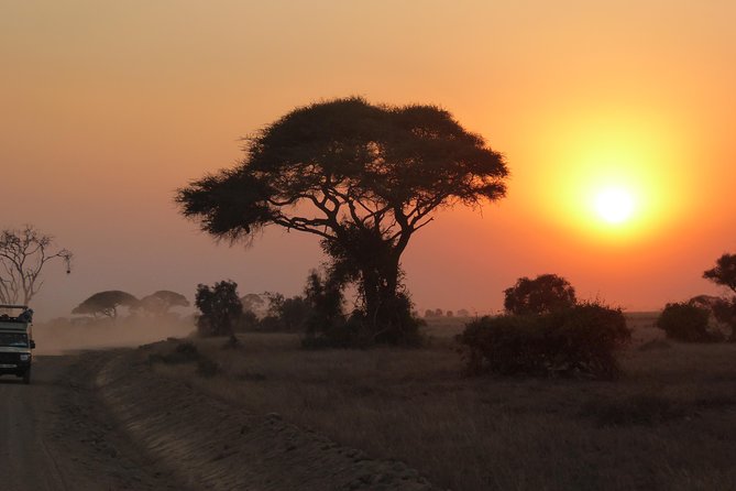 4-Day Safari: Lake Manyara, Serengeti & Ngorongoro - What this four-day safari is really offering
