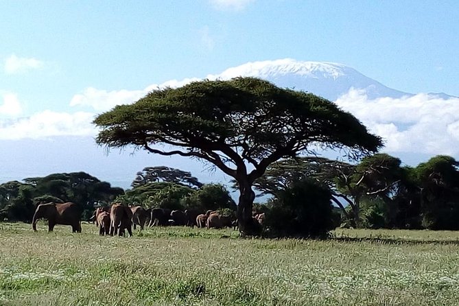 4-Day Safari: Lake Manyara, Serengeti & Ngorongoro - Camping, meals, and the level of comfort