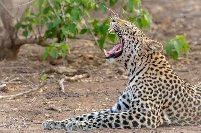 4-Day Safari to Tarangire ,Serengeti and Ngorongoro crater from Arusha - Day 2: The long road into the Serengeti