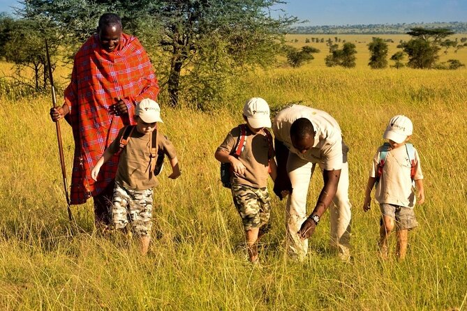 4-Day Safari to Tarangire ,Serengeti and Ngorongoro crater from Arusha - Two nights in the Serengeti, with time to wait