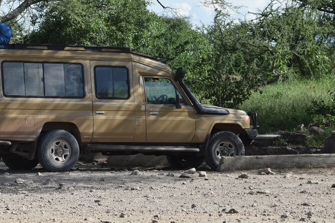 4-Day Safari to Tarangire ,Serengeti and Ngorongoro crater from Arusha - Guides can make or break the long days