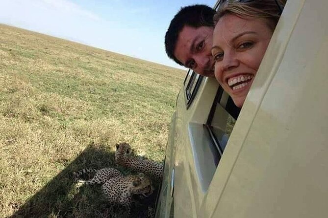 4-Day Safari to Tarangire, Serengeti and Ngorongoro from Arusha - Join a group - Day 1: Tarangire’s elephants and baobabs