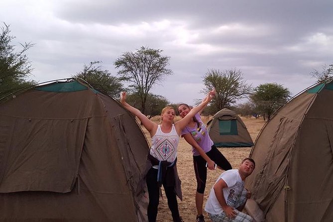 4 Days 3 Nights Tarangire Serengeti & Ngorongoro Lodge Safari - Day 3: A Serengeti morning, then Ngorongoro