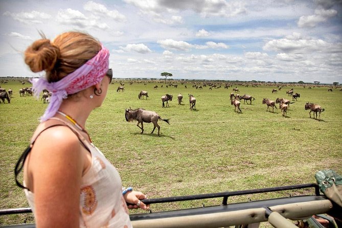 4 Days 3 Nights Tarangire Serengeti & Ngorongoro Lodge Safari - Day 4: Ngorongoro Crater and the long return