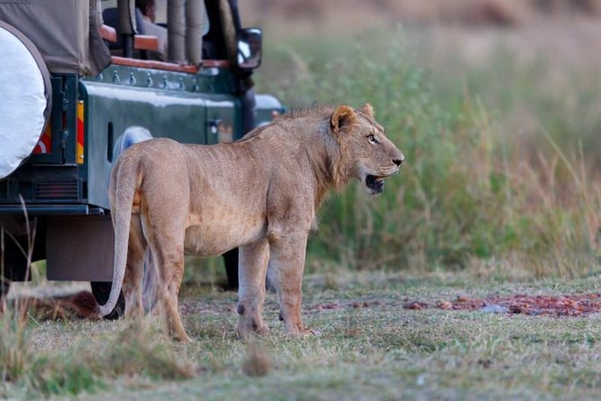 4 Days 3 Nights Tarangire Serengeti & Ngorongoro Lodge Safari - Lodges, camps, and meals