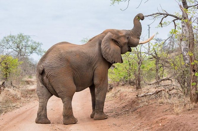 4-Days Adventure Camping Safari to Tarangire, Serengeti & Ngorongoro - Camping, food, and the small-group setup