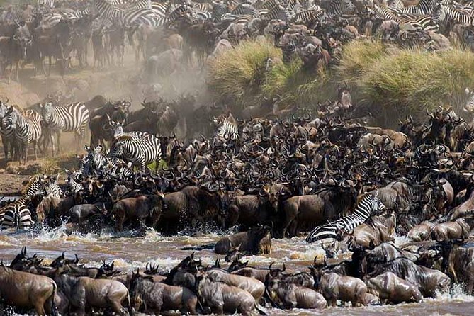 4-Days Adventure Camping Safari to Tarangire, Serengeti & Ngorongoro - Languages, transport, and practical planning