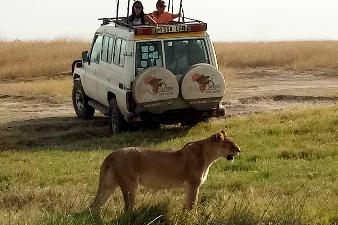 4 Days Affordable Tanzania Budget Safari - Day one: elephants in Tarangire National Park