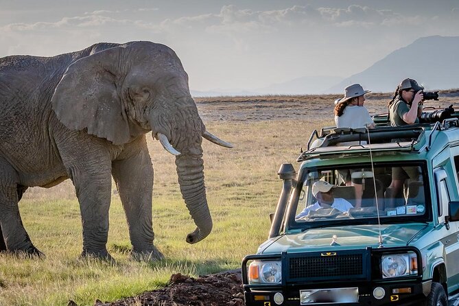 4 days Awesome Luxury safari Tarangire Serengeti & Ngorongoro - Early wildlife viewing on day three
