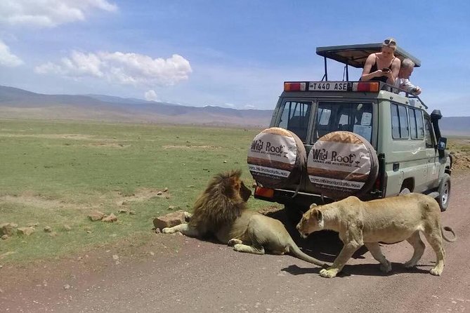 4: days Big five safari - Day One: Elephants and the Tarangire River