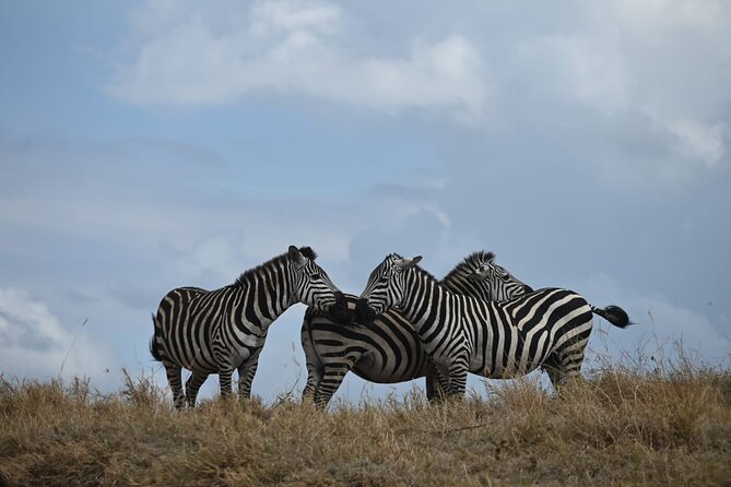 4 Days Group Camping Safari - Three famous parks, one tightly planned safari