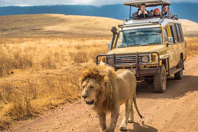 4 Days Group Joining Camping Tanzania safari - Day 2: The long road into Serengeti