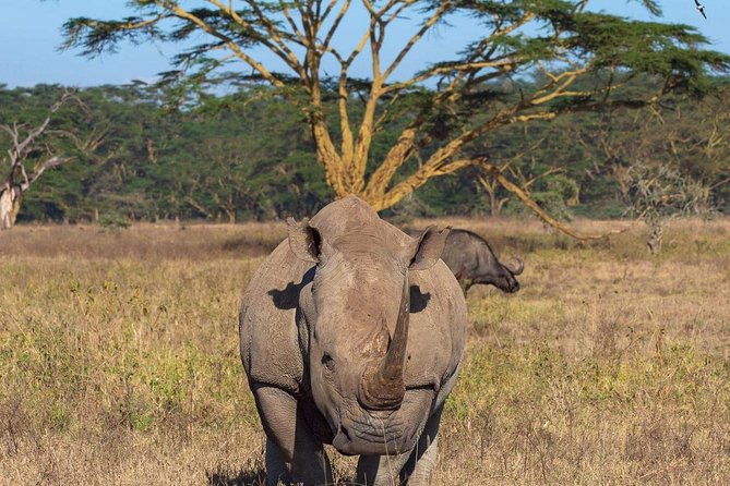 4 Days Joined Group Safari Serengeti,Ngorongoro and Tarangire National Parks - Food, sleeping arrangements, and daily comfort
