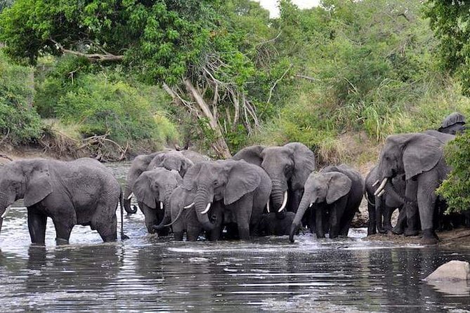 4 Days Joined Group Safari Serengeti,Ngorongoro and Tarangire National Parks - Who should book this safari