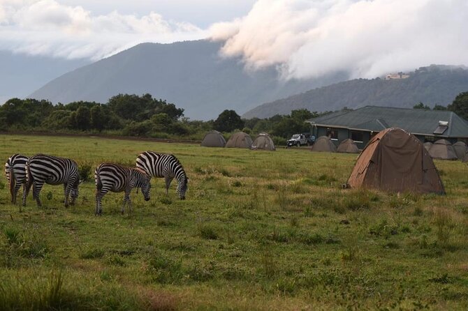 4 Days lodge &camping Tarangire,Serengeti, Ngorongoro Safari Tour - Day 4: Ngorongoro Crater and the return to Arusha