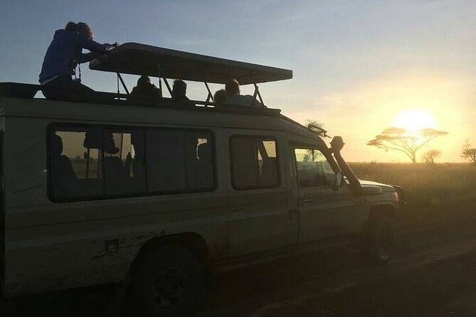 4 Days lodge &camping Tarangire,Serengeti, Ngorongoro Safari Tour - What the $1,110 price includes