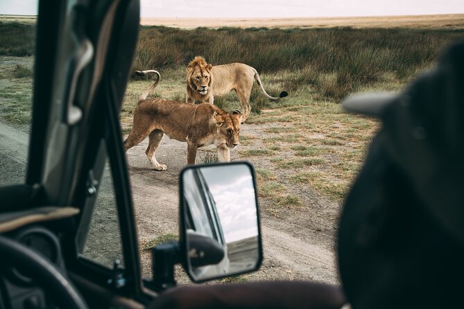 4 Days Lodge Safari in Lake Manyara, Serengeti & Ngorongoro Crater - Day 1: Lake Manyara and the Rift Valley wall