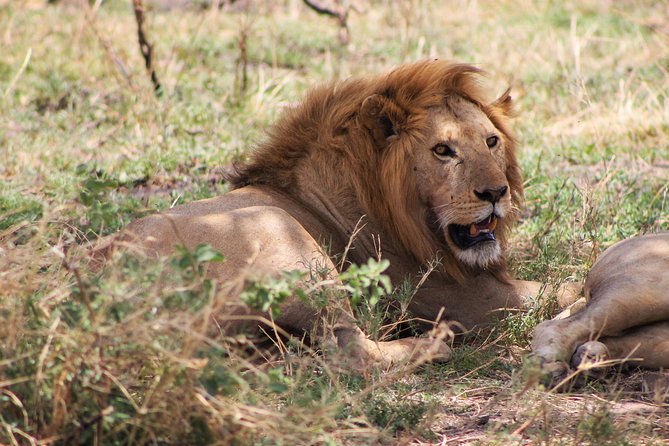 4 Days lodge safari Tarangire , Ngorongoro crater & Walking - What the $720 package really includes