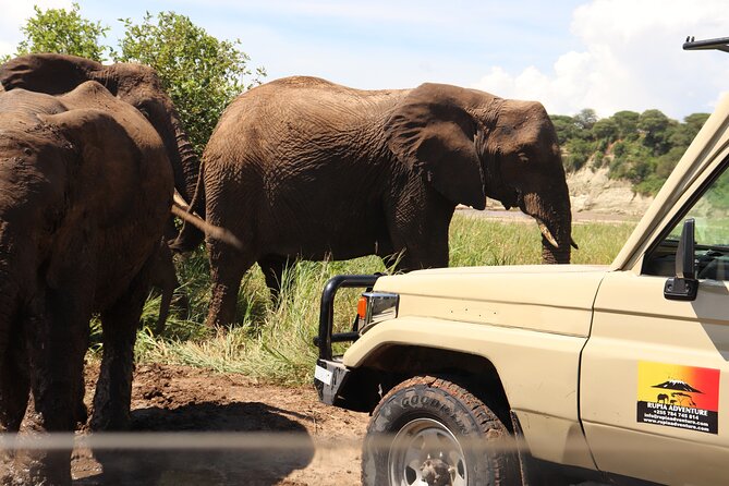 4 Days Private Safari - Tarangire, Serengeti & Ngorongoro Crater - Camping, food, and the daily rhythm