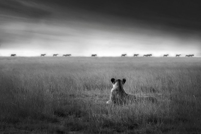4 days safari in Tanzania - Why this four-day route works