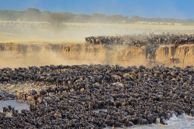 4 days safari in Tanzania - Sleeping in or near the Serengeti
