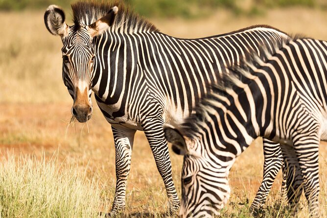 4 Days Safari to Tarangire, Serengeti and Ngorongoro - Day 1: Lake Manyara’s forest, lake, and Rift Valley views