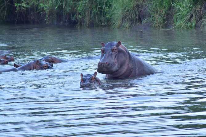 4 Days Tanzania Budget Group Join Safari- Serengeti & Ngorongoro - Shared safari etiquette and comfort