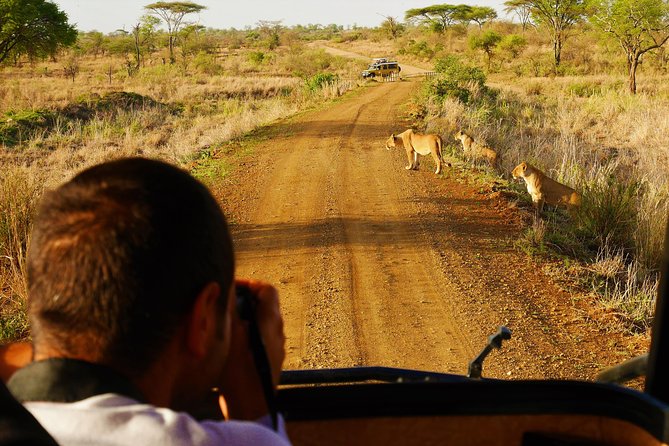4 Days Tanzania Camping Safari - Day 1: Tarangire’s elephants and baobabs